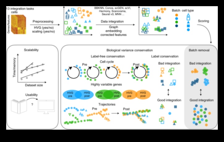 Armonie de date Cum se echilibrează forma și funcția în soluțiile de transformare 4 Armonia datelor: echilibrarea formei și a funcției în soluțiile de transformare