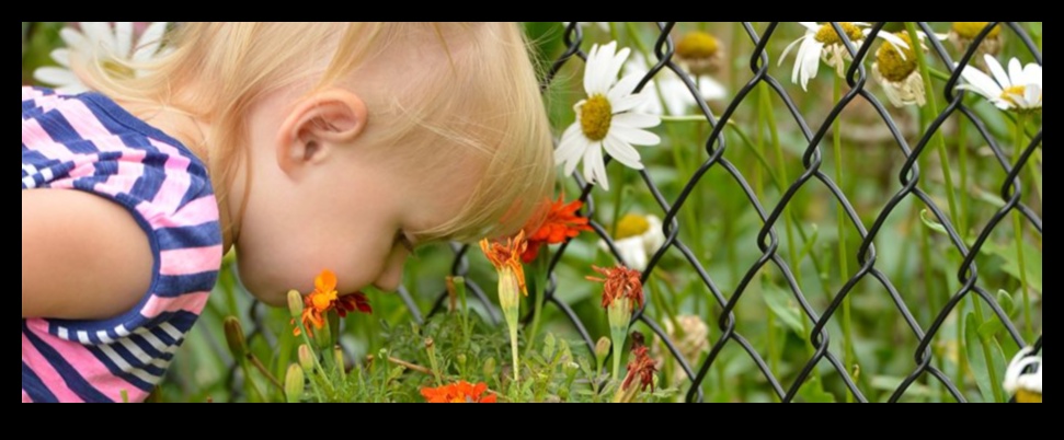 Bouncing Blossoms: Atingeri florale jucăușe în dezvoltarea bebelușului