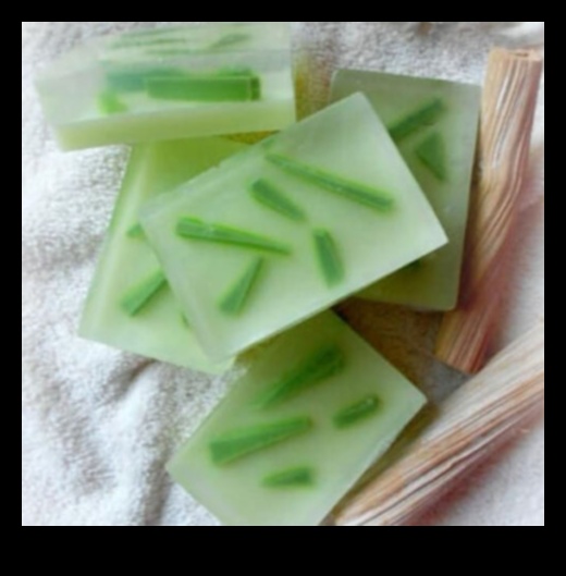 Baton DIY cu Aloe Vera O modalitate revigorantă și naturală de a vă răcori 2 Baton DIY cu Aloe Vera: Creați-vă răcoritoarea perfectă acasă