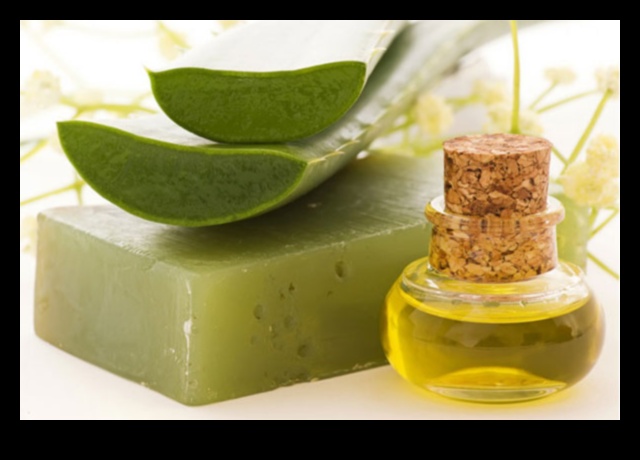 Baton DIY cu Aloe Vera O modalitate revigorantă și naturală de a vă răcori 4 Baton DIY cu Aloe Vera: Creați-vă răcoritoarea perfectă acasă