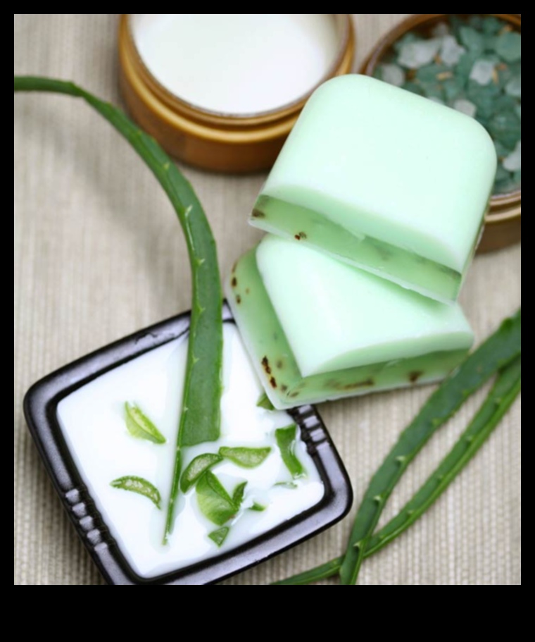 Baton DIY cu Aloe Vera O modalitate revigorantă și naturală de a vă răcori 3 Baton DIY cu Aloe Vera: Creați-vă răcoritoarea perfectă acasă