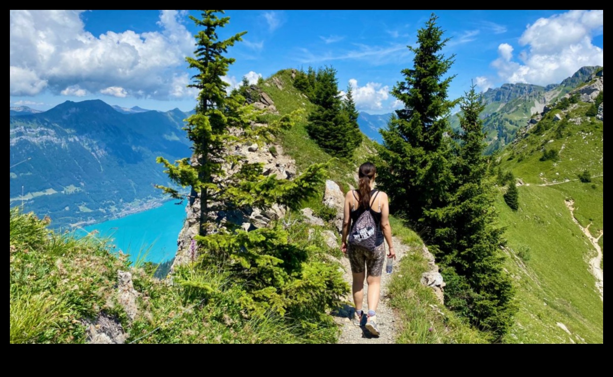 Obiective panoramice: Itinerarul final de vizitare a obiectivelor turistice