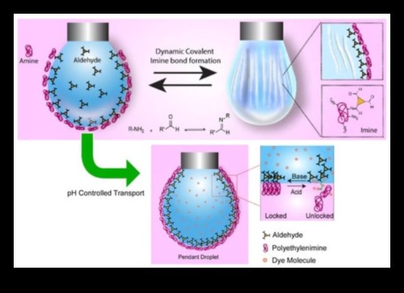 Dynamic Nano Designs: Vizualizarea experiențelor cu nanotehnologia interactivă