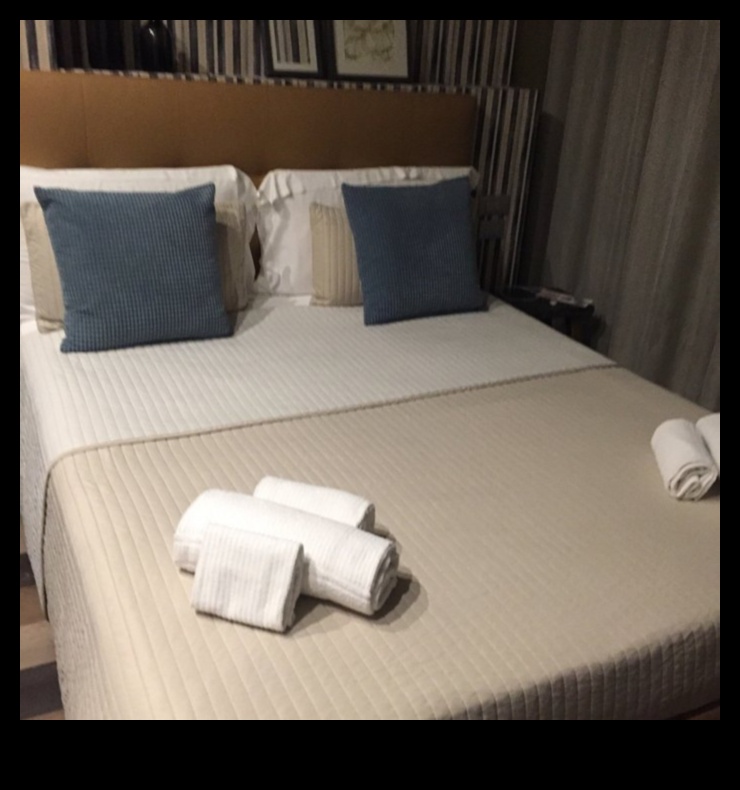 Suite Serendipity Un ghid pentru un confort neașteptat în inima orașului 5 Suite Serendipity: Un ghid pentru un confort neașteptat