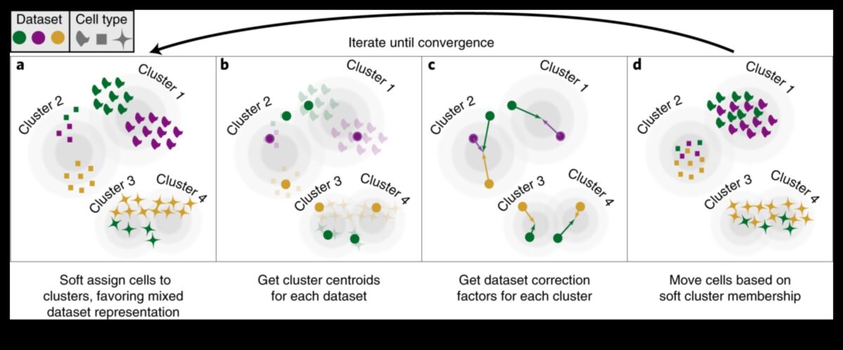 Armonia datelor: echilibrarea formei și a funcției în soluțiile de transformare