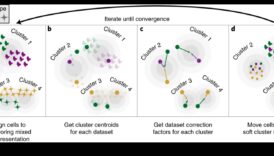Armonia datelor: echilibrarea formei și a funcției în soluțiile de transformare