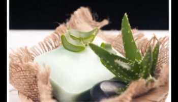 Baton DIY cu Aloe Vera: Creați-vă răcoritoarea perfectă acasă