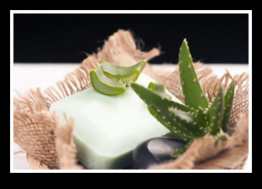 Baton DIY cu Aloe Vera O modalitate revigorantă și naturală de a vă răcori 1 Baton DIY cu Aloe Vera: Creați-vă răcoritoarea perfectă acasă