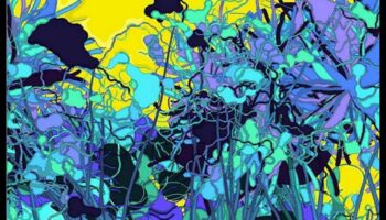 Codarea creativă în robotică: limbajul artisticității vizuale în explorarea automată