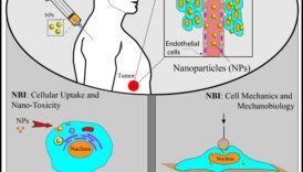 Dynamic Nano Designs: Vizualizarea experiențelor cu nanotehnologia interactivă