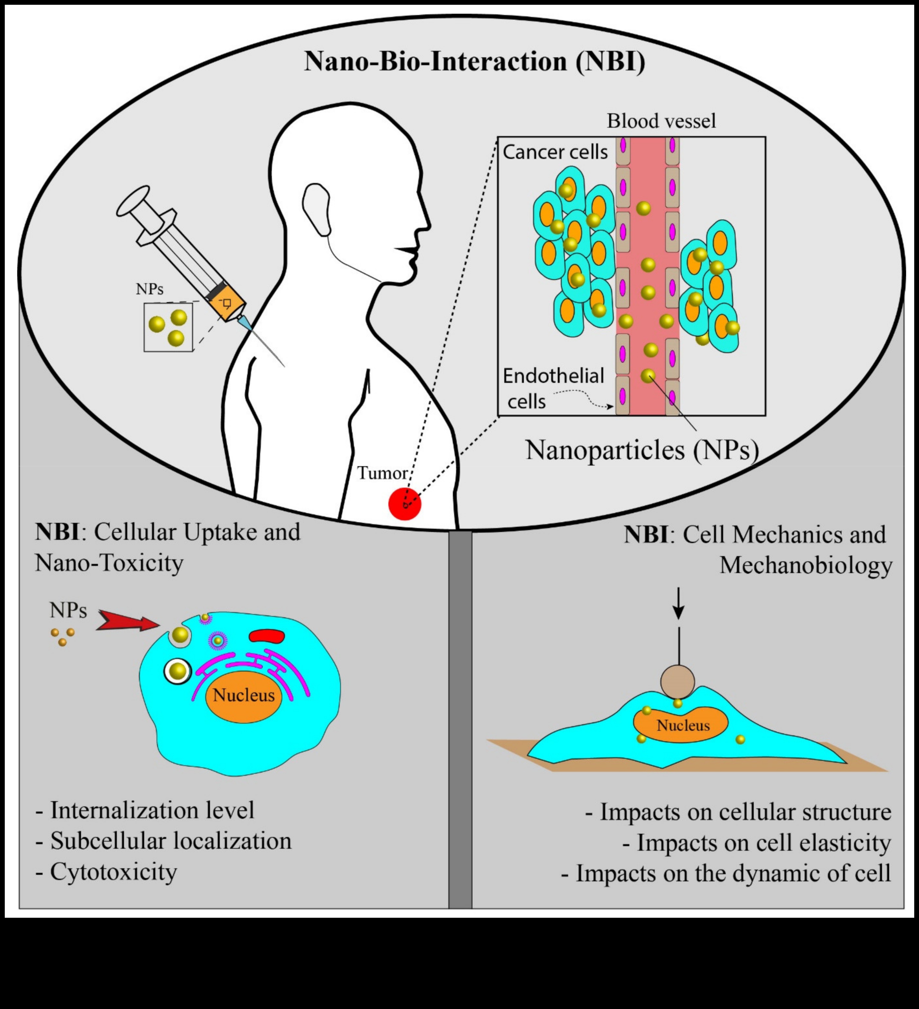Dynamic Nano Designs: Vizualizarea experiențelor cu nanotehnologia interactivă