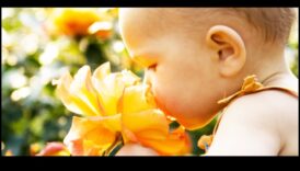 Bouncing Blossoms: Atingeri florale jucăușe în dezvoltarea bebelușului