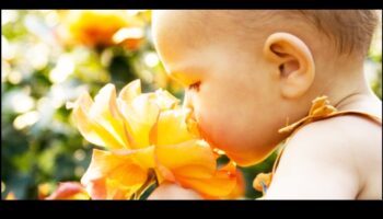 Bouncing Blossoms: Atingeri florale jucăușe în dezvoltarea bebelușului