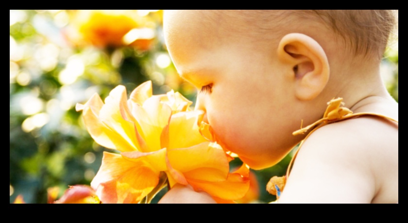 Bouncing Blossoms: Atingeri florale jucăușe în dezvoltarea bebelușului