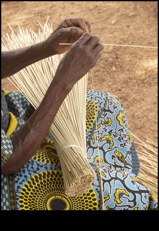 Arta în mediul înconjurător: stăpânirea meșteșugului tehnologiei verzi