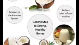 Pur și sănătos Multele beneficii ale laptelui de cantaret 4 Pur și sănătos: Savurând esența bunătății laptelui de cocos